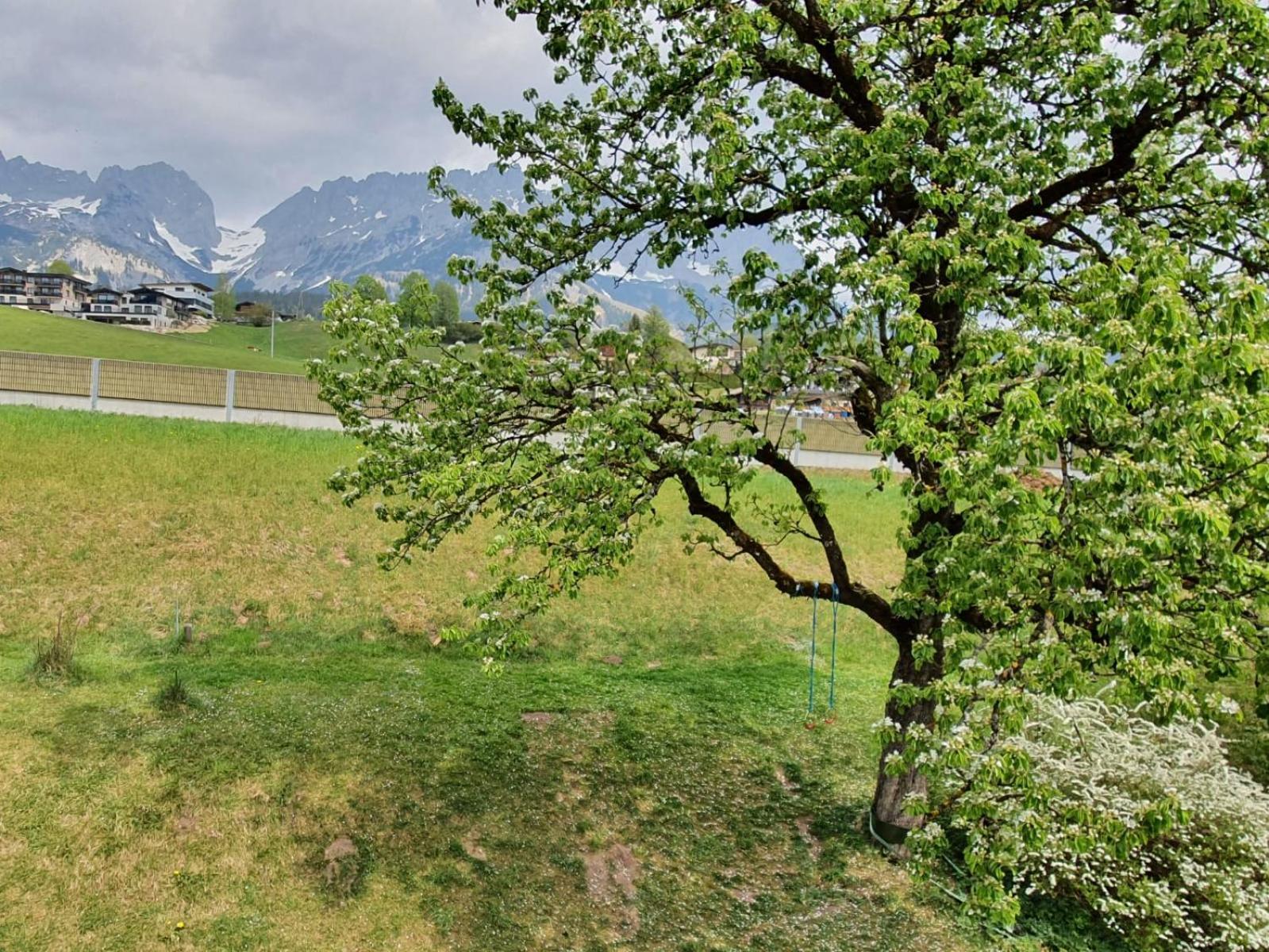 Апартаменти Haus Strobler Going am Wilden Kaiser Номер фото